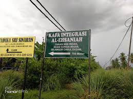 Sungai berwarna hitam pekat berada di taman nasional sebangau, kalimatan tengah. Grantnsaipan Taman Cahaya Sungai Besar