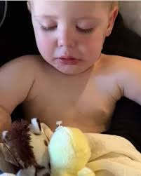 Dakota County dog breeder allegedly drowned puppies, froze dogs