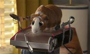 Bedtime stories film guinea pig. Pin On Cute Animals