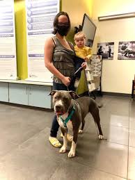 Whether it's an emergency or regular preventative treatment, beltline animal hospital is the best choice for quality veterinary services. Kara Rogers Dvm Associate Veterinarian Westglen Animal Hospital Linkedin