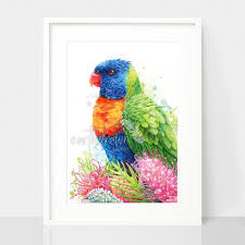 We just dont have the time to spend with her. Rainbow Lorikeet Australian Bird Art Print Beautiful Australiana Artwork Earthdrawn Studio