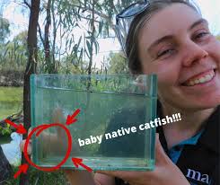 LiDAR technology has a lot of uses; here is a novel one we haven't heard of  before!