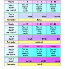 What does baby dropping feel like? 32 Weeks Is How Many Months September 2017 Babies Forums What To Expect