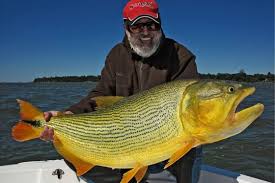 Em zoologia, uma escama é uma estrutura óssea ou de queratina formada pela pele de muitos animais, como órgão de protecção. Peixes De Agua Doce Portal Pesca Amadora Esportiva