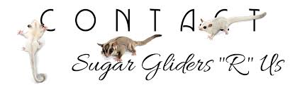 Medical References Sugar Gliders R Us