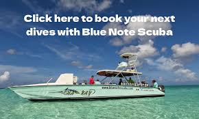 Cozumel Weather In October: What To Expect And Travel Tips