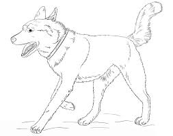 March 3, 2021february 16, 2021 by johnqubil. Running Siberian Husky Coloring Page Free Printable Coloring Pages For Kids