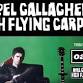 High Flying Carpets Live event image
