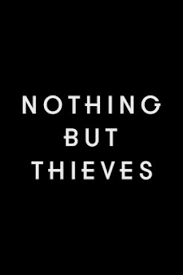 Pin By Ailee On But Do You Feel Like A Young God Nothing But Thieves Thief Crow