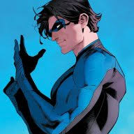 Nightwing: The Ultimate SI