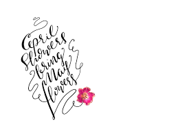 Wallpaper 02 April Showers Bring May Flowers Free Download Flowers Free Download April Showers May Flowers