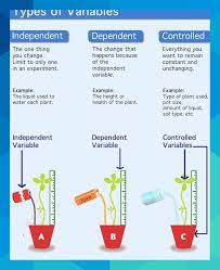 Description Of Independent Variable Dependent Variable And Control Boccore1996 Teaching Biology Science Skills High School Science