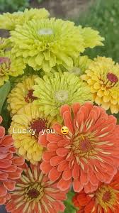 How are those New Year's resolutions going?, I think the doctor ordered  more flowers in your future., #thebestmedicine #moregreen #flowersforyou