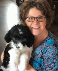 The male f1b mini sheepadoodles 🥰 two has been reserved. 6 Best Sheepadoodle Breeders In Ohio 2021 We Love Doodles