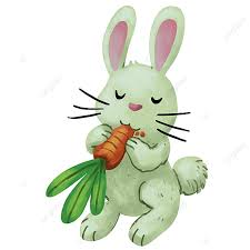 This vegetable is not a natural part of a rabbit's diet, but it will usually eat them when given the chance. Rabbit Eat Carrot Illustration Rabbit Carrot White Png Transparent Clipart Image And Psd File For Free Download