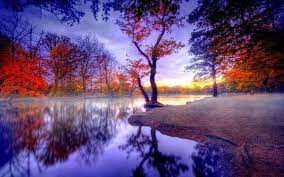 The Colors Are Amazing Beautiful Photography Nature Autumn Landscape Landscape Wallpaper
