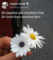 Guzel Soz Panosundaki Pin