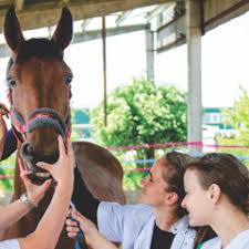 Contact@usamvcluj.ro admitere@usamvcluj.ro +40 264 596 384. Admitere Usamvcn