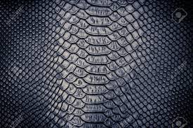 Close Up Of Snake Skin Texture Use For Background Snake Skin Black Background Pattern Skin Textures