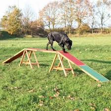 Trixie Agility Dog Walk With Coloured Contact Zones Agility Training For Dogs Dog Activities Dog Agility