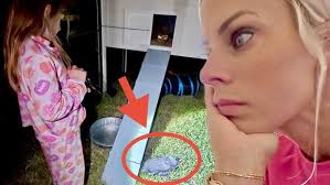 Aquatic Rivalry: Brett and Wayde's Pond Face-Off