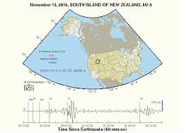 iris special event south island new zealand