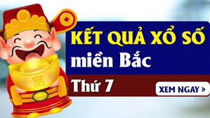 Pháp Luật và Xã hội - News update
