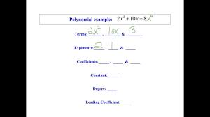 Read and download ebook gina wilson all things algbra congruent triangles answer key pdf at public ebook library gina w. Gina Wilson All Things Algebra 2015 Answer Key Polynomial Functions Gina Wilson Exponents Answer Key