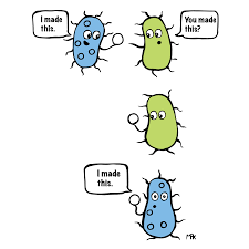 We did not find results for: Addgene The I Made This Meme Is Well Suited For Plasmids Check Out This Blog Post To Read About The Different Ways Plasmids Move Between Organisms And See More Science