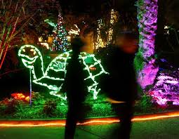 5 Things To Do Under 5 Holiday Lights Edition Florida Christmas Holiday Lights Things To Do