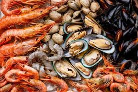 Image result for Paralytic Shellfish Poisoning