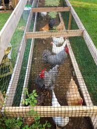 special chicken run ideas for your garden decoration frugal living garden chicken run chickens backyard diy chicken coop