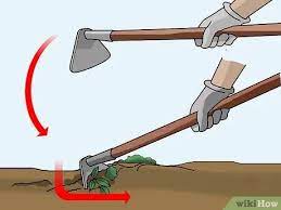 Maybe you would like to learn more about one of these? How To Hoe Weeds 11 Steps With Pictures Wikihow