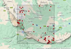 Image result for Otiophora pycnostachys
