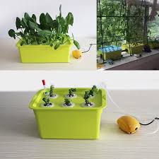 Buy Pdto 6 Holes Plant Site Hydroponic System Garden Seeding Cabinet Box Grow Kit At Affordable Prices Free Shipping Real Reviews With Photos Joom