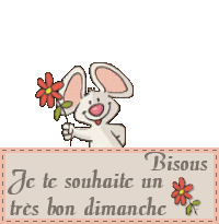 RÃ©sultat de recherche d'images pour "gif bon dimanche bisous"