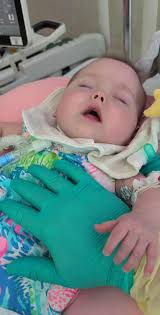 Dog diagnosed with pancreatitis, seeking advice and support