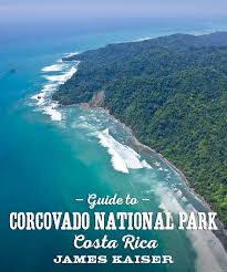 2021 Guide To Corcovado National Park Costa Rica James Kaiser