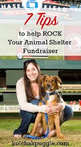 7 Tips To Help Rock Your Animal Shelter Fundraiser Kol S Notes Animal Shelter Fundraiser Animal Shelter Dog Fundraiser
