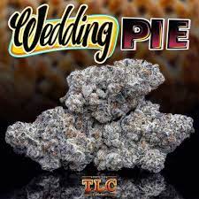 Wedding Pie Strain Jungle Boys Strains Jungle Boys Products
