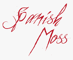 Free fire is a mobile game where players enter a battlefield where there is only one. Spanish Moss Graphic Novel Written And Illustrated Manish Name Signature Style Hd Png Download Transparent Png Image Pngitem