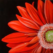 Red Gerbera Daisy Daisy Painting Acrylic Painting Flowers Black Canvas Paintings