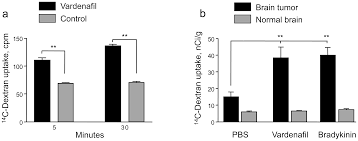 Cancer is the general term for all malignant tumours. Plos One Phosphodiesterase Type 5 Inhibitors Increase Herceptin Transport And Treatment Efficacy In Mouse Metastatic Brain Tumor Models