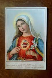 image heilig herz mariae sacre coeur de marie sacred heart of mary sacro cuore eur 3 00 pieuse religieuse anci coloriage perroquet