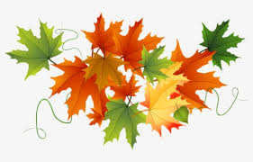 Its resolution is 850x472 and the resolution can be changed at any time according to your needs after downloading. Transparent Fall Leaves Falling Png Gif Animation Fall Leaves Gif Free Transparent Clipart Clipartkey
