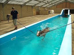 Horse Health A Hydrotherapy Center In England Stable Style Horse Barns Stables Horses