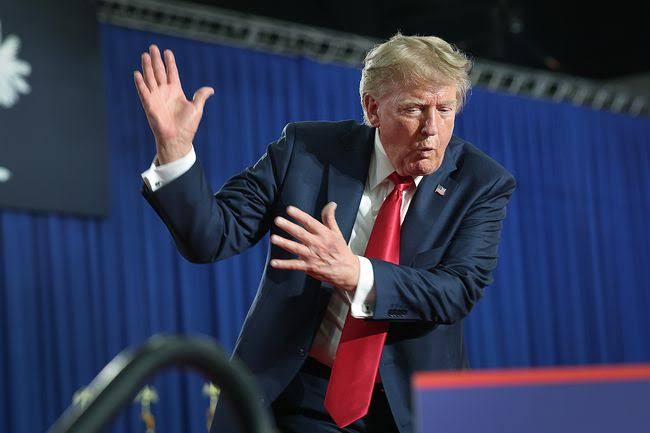 Natalie Harp: Backstory and trigger for executive assistant's devotion to Donald  Trump - The Mirror
