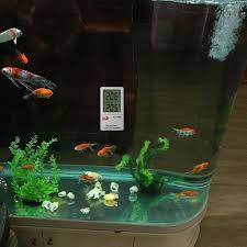 Fish Tank Thermometer Fish Thermometer Aquarium Temperature Pet Fishtank Fish Tank Pets Aquarium