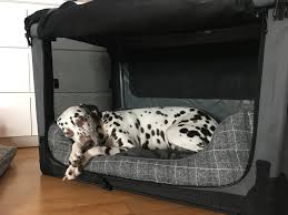 Je größer der hund ist, desto stabiler muss die faltbare hundebox für große hunde sein. Mit Der Ruhezone Zu Mehr Entspannung Fur Deinen Hund Bothshunde