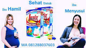 Minuman 081288037603 Sehat Untuk Ibu Hamil Dan Menysusui Termurah Hamil Ibu Minuman